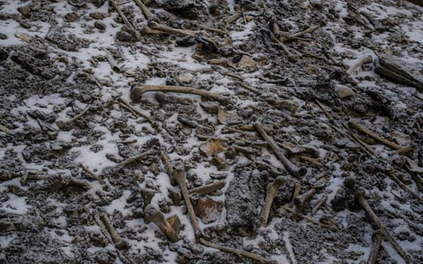 ヒマラヤ山脈、ループクンド湖の岸に人骨が散らばっている（PHOTOGRAPH BY HIMADRI SINHA ROY）