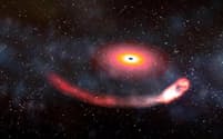 中性子星をのみ込むブラックホールの想像図。中性子星はブラックホールの周囲を回りながら、ブラックホールの強大な重力によって粉々に砕かれる。これは潮汐破壊現象と呼ばれる（ILLUSTRATION BY DANA BERRY, NASA）