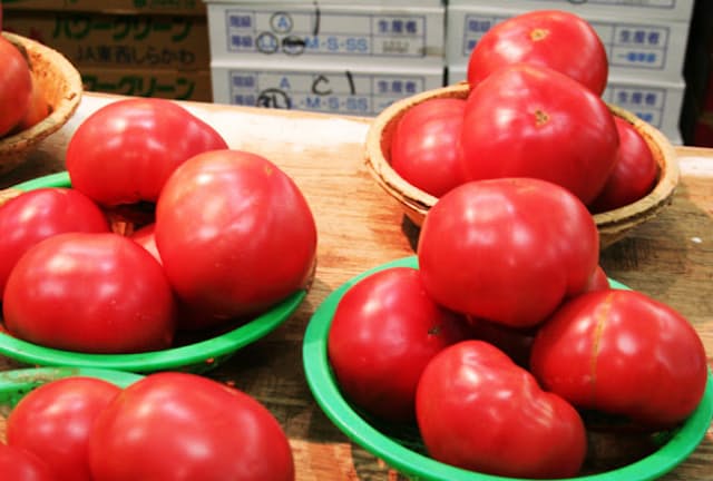 総務省の家計調査では、野菜消費量が全体的に伸び悩む中、トマトの消費支出は年々増加している