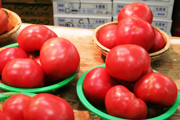 昔はまずかった トマト フルーツ感覚で高まる人気 Nikkei Style 昔はまずかった トマト フルーツ感覚で高まる人気 Nikkei Style