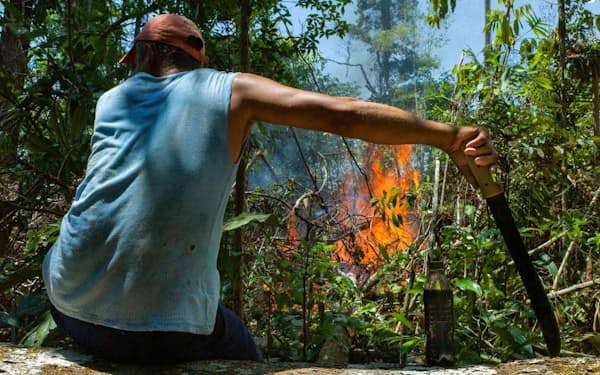 油とガソリンを混ぜた液体をまいて点火し、炎が広がるのを見つめる男性。森がなくなれば、ここはウシの牧場になる（PHOTOGRAPH BY CHARLIE HAMILTON JAMES）