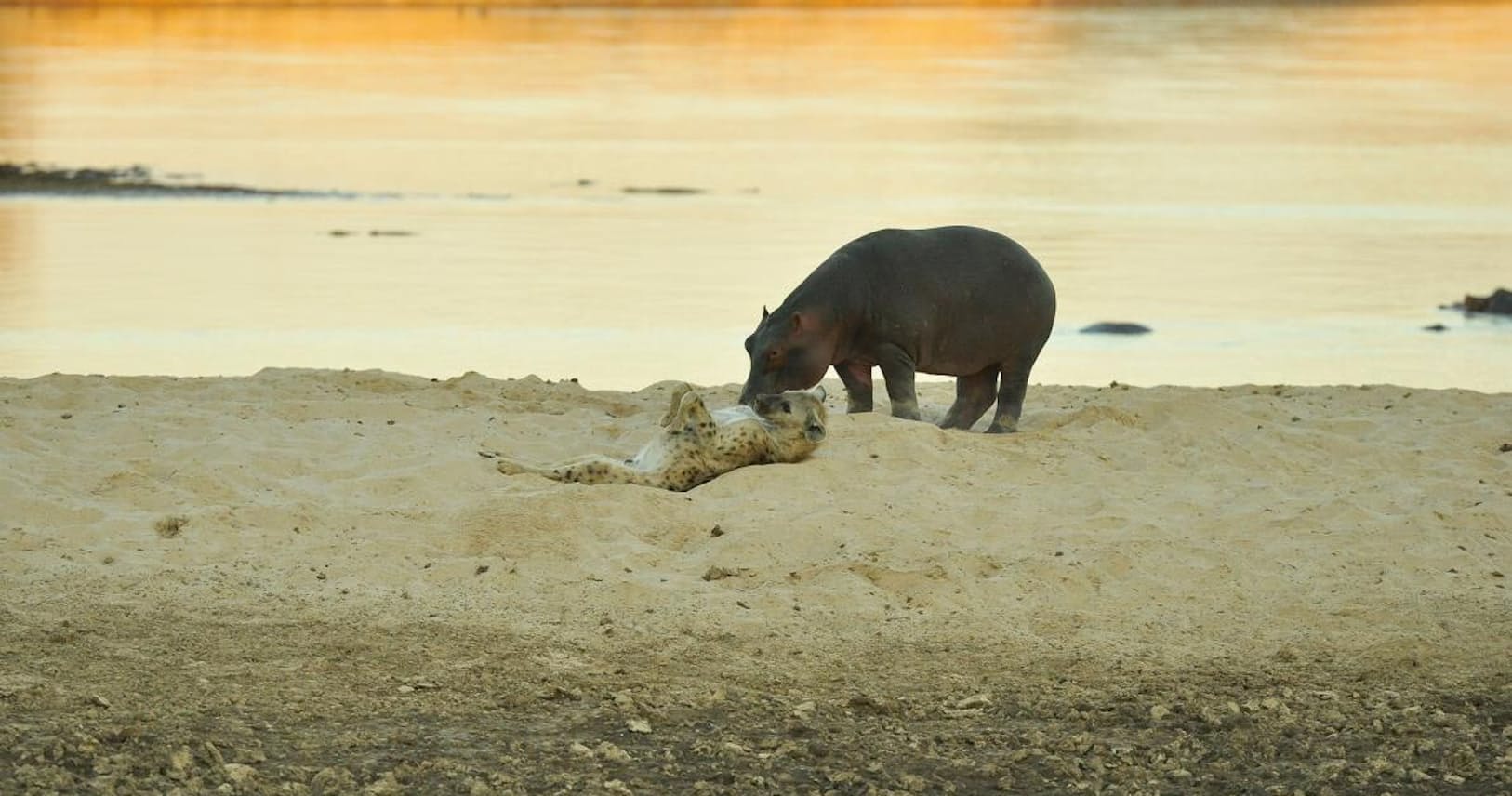 Xvf6quercbytrm Xvf6quercbytrm