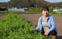 足達さんの大紺屋農園では、タイ野菜など海外原産の野菜を年間80種類生産する（9月下旬、千葉県南房総市）