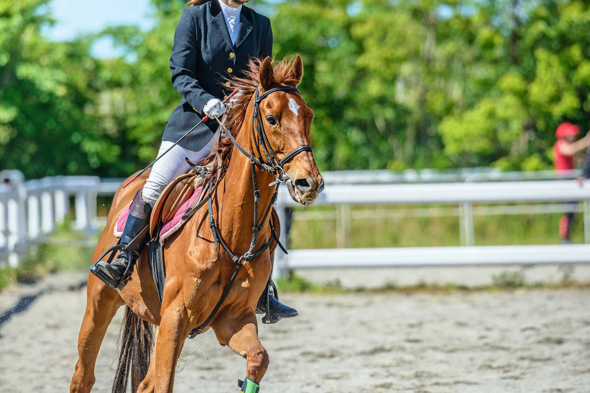 銀行辞め乗馬クラブ起業 心通う相棒と耐久競技の道へ Nikkei Style 銀行辞め乗馬クラブ起業 心通う相棒と耐久競技の道へ Nikkei Style