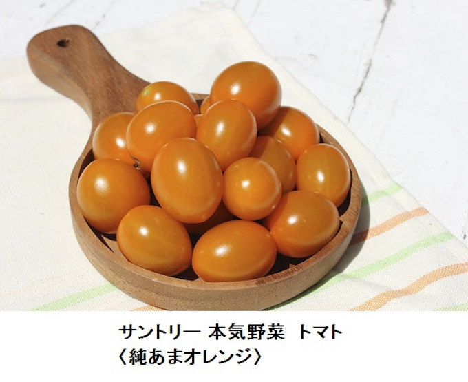 サントリーフラワーズ サントリー 本気野菜 から 本気野菜 トマト 純あまオレンジ を発売 日本経済新聞