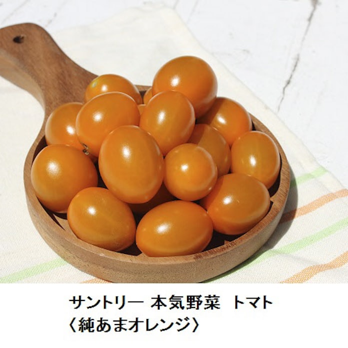 サントリーフラワーズ サントリー 本気野菜 から 本気野菜 トマト 純あまオレンジ を発売 日本経済新聞 サントリーフラワーズ サントリー 本気野菜 から 本気野菜 トマト 純あまオレンジ を発売 日本経済新聞