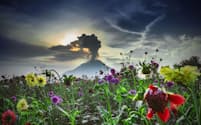 インドネシア西部のシナブン山。約400年にわたって休止していたが、2010年8月、噴火とともに眠りから覚めた。この一帯は太平洋プレートの境界がずれていることから、世界の活火山の約75%が集まっている（PHOTOGRAPH BY TIBTA PANGIN, ANADOLU AGENCY/GETTY IMAGES）