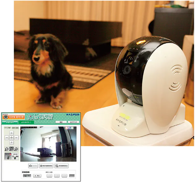 過保護 な愛犬家も納得 進化するペット用品 Nikkei Style 過保護 な愛犬家も納得 進化するペット用品 Nikkei Style