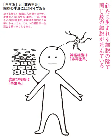 日本経済新聞 印刷画面