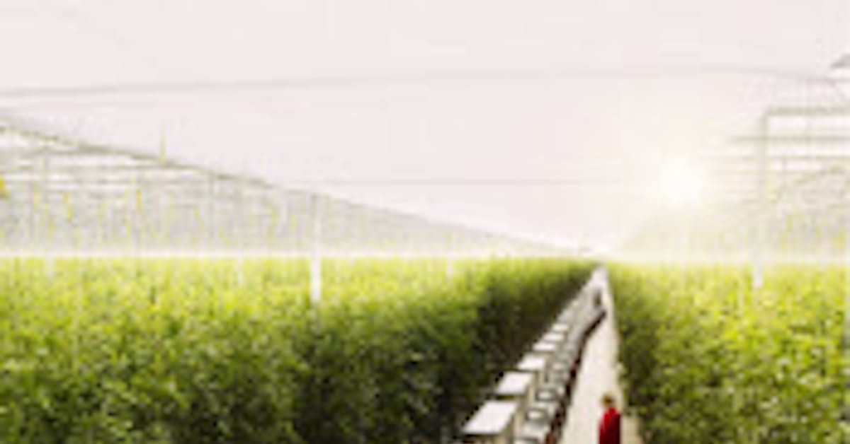 進むco2の農業利用 温暖化の 悪玉 を有用資源に 日本経済新聞