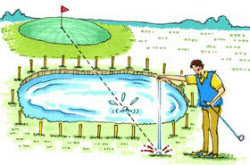 ルール マナー ルールq75 黄色の杭に囲まれた池に球が落ちて 日本経済新聞