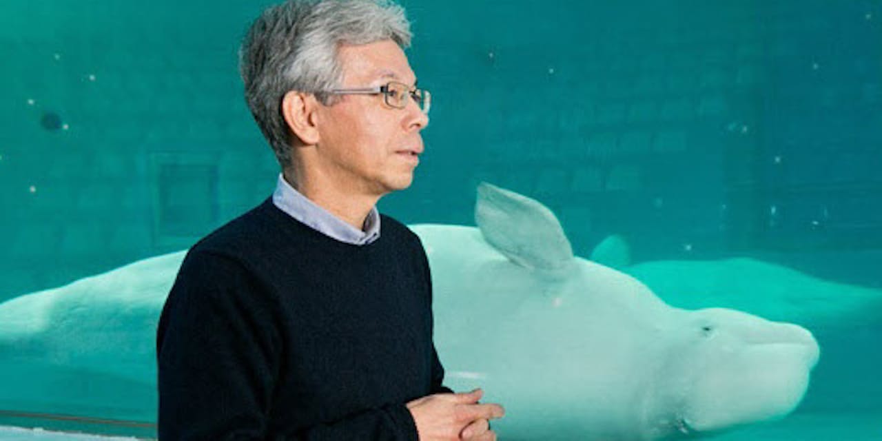 イルカもできる ヒトの考え方 独自の手法で実験 Nikkei Style イルカもできる ヒトの考え方 独自の手法で実験 Nikkei Style