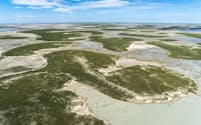 アフリカのザンベジ川以南には、はるか昔に緑豊かな湿地帯が広がっていた。現生人類はこの地から誕生したという新たな研究結果が発表された。現在、ここはマカディカディ塩湖と呼ばれる世界最大級の塩原になっている（PHOTOGRAPH BY BEVERLY JOUBERT, NAT GEO IMAGE COLLECTION）