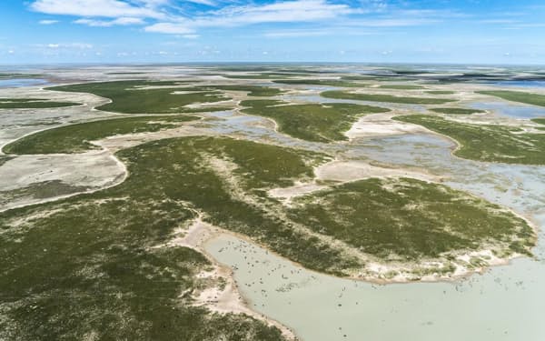 アフリカのザンベジ川以南には、はるか昔に緑豊かな湿地帯が広がっていた。現生人類はこの地から誕生したという新たな研究結果が発表された。現在、ここはマカディカディ塩湖と呼ばれる世界最大級の塩原になっている（PHOTOGRAPH BY BEVERLY JOUBERT, NAT GEO IMAGE COLLECTION）