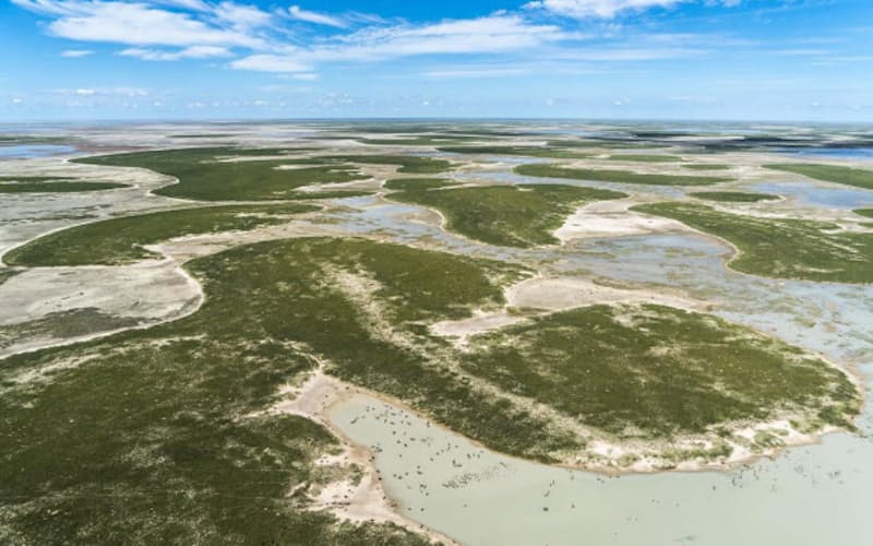 アフリカのザンベジ川以南には、はるか昔に緑豊かな湿地帯が広がっていた。現生人類はこの地から誕生したという新たな研究結果が発表された。現在、ここはマカディカディ塩湖と呼ばれる世界最大級の塩原になっている(PHOTOGRAPH BY BEVERLY JOUBERT, NAT GEO IMAGE COLLECTION) アフリカのザンベジ川以南には、はるか昔に緑豊かな湿地帯が広がっていた。現生人類はこの地から誕生したという新たな研究結果が発表された。現在、ここはマカディカディ塩湖と呼ばれる世界最大級の塩原になっている(PHOTOGRAPH BY BEVERLY JOUBERT, NAT GEO IMAGE COLLECTION)