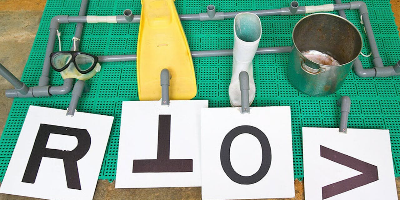 イルカが言葉を覚えた 音 モノ 文字の関連を理解 Nikkei Style イルカが言葉を覚えた 音 モノ 文字の関連を理解 Nikkei Style