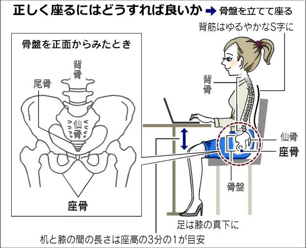 机の高さにも注意 背筋だけ伸ばしてもダメ 腰痛 肩こり防ぐ座り方 Nikkei Style 机の高さにも注意 背筋だけ伸ばしてもダメ 腰痛 肩こり防ぐ座り方 Nikkei Style