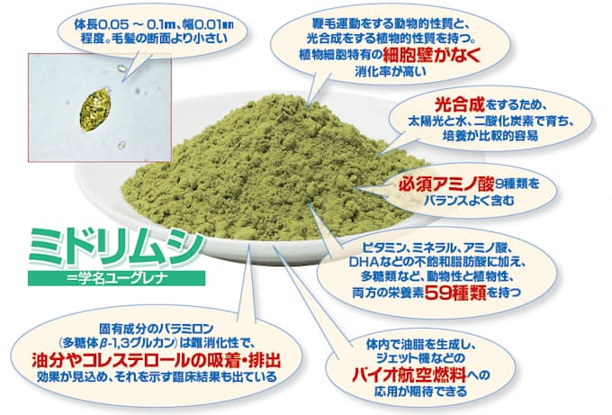 食料にも燃料にも 夢の素材 ミドリムシの課題 日本経済新聞