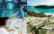 現在の年間生産量は数十トン。ユーグレナは、石垣島に新研究所を開設し、生産効率の向上を図る
