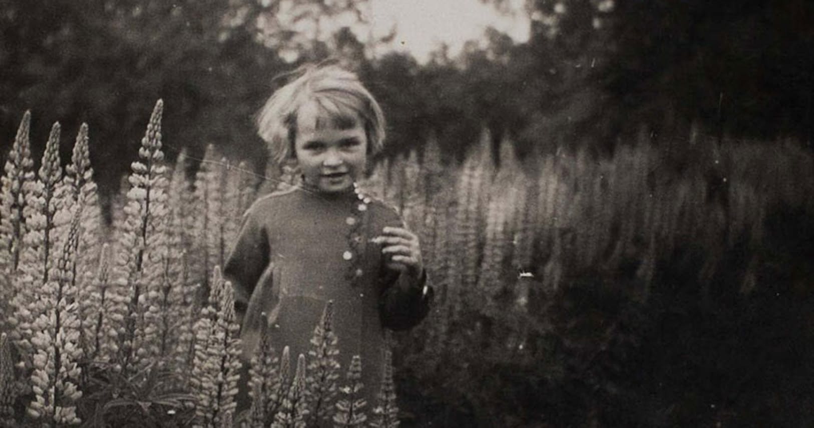 ナチスが生んだ悲劇 狼の子 と呼ばれた戦争孤児 Nikkei Style ナチスが生んだ悲劇 狼の子 と呼ばれた戦争孤児 Nikkei Style
