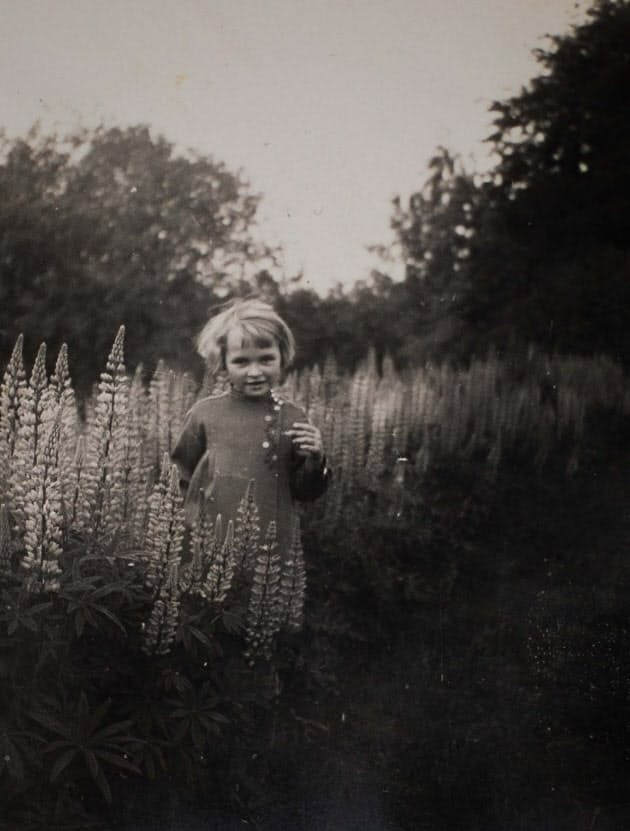 ナチスが生んだ悲劇 狼の子 と呼ばれた戦争孤児 Nikkei Style ナチスが生んだ悲劇 狼の子 と呼ばれた戦争孤児 Nikkei Style