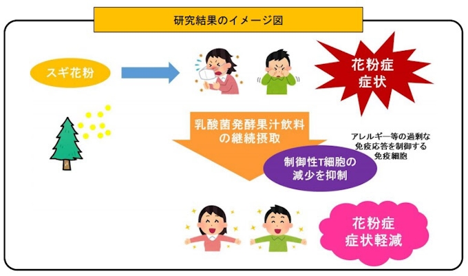 ヤクルト 乳酸菌発酵果汁飲料の継続摂取がスギ花粉症症状を軽減し制御性t細胞の減少を抑制することを確認 日本経済新聞 ヤクルト 乳酸菌発酵果汁飲料の継続摂取がスギ花粉症症状を軽減し制御性t細胞の減少を抑制することを確認 日本経済新聞