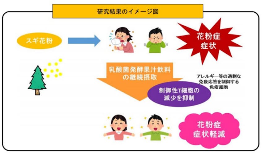ヤクルト 乳酸菌発酵果汁飲料の継続摂取がスギ花粉症症状を軽減し制御性t細胞の減少を抑制することを確認 日本経済新聞 ヤクルト 乳酸菌発酵果汁飲料の継続摂取がスギ花粉症症状を軽減し制御性t細胞の減少を抑制することを確認 日本経済新聞