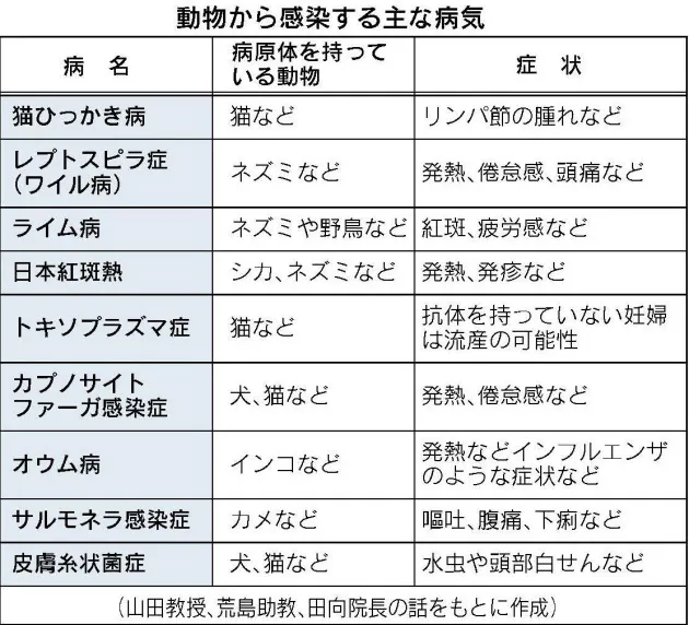 触ったら手洗い 動物からうつる病気 予防の心得 Nikkei Style 触ったら手洗い 動物からうつる病気 予防の心得 Nikkei Style