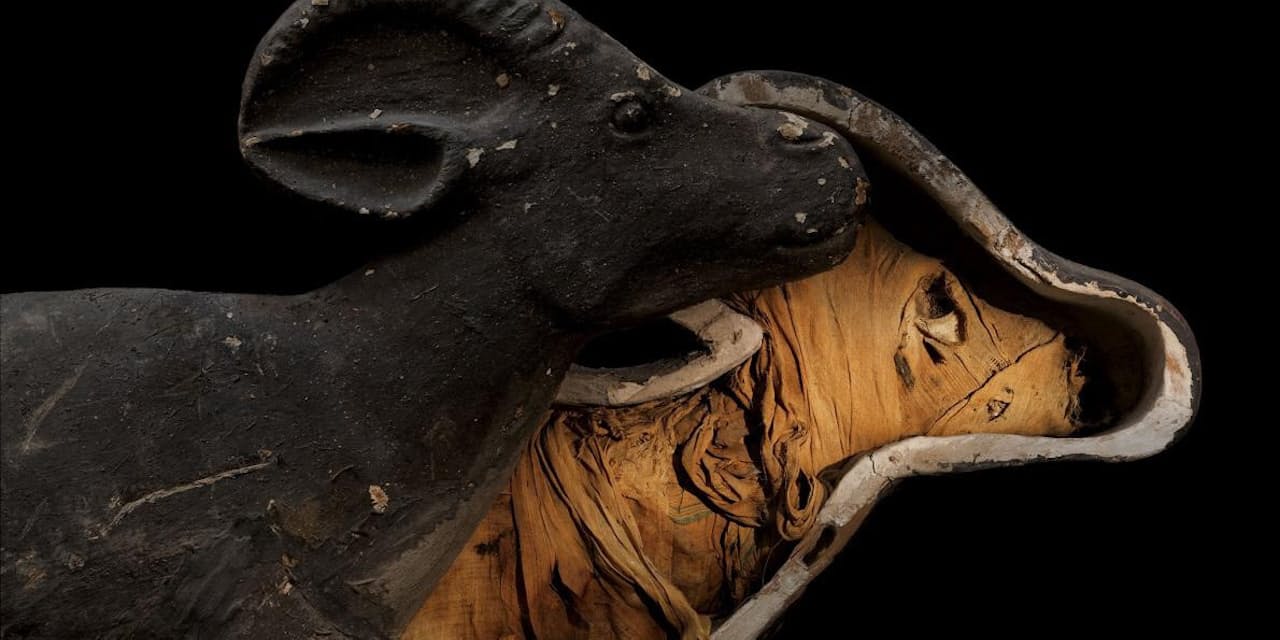 あの十二支たちも 古代エジプトの意外な動物ミイラ Nikkei Style