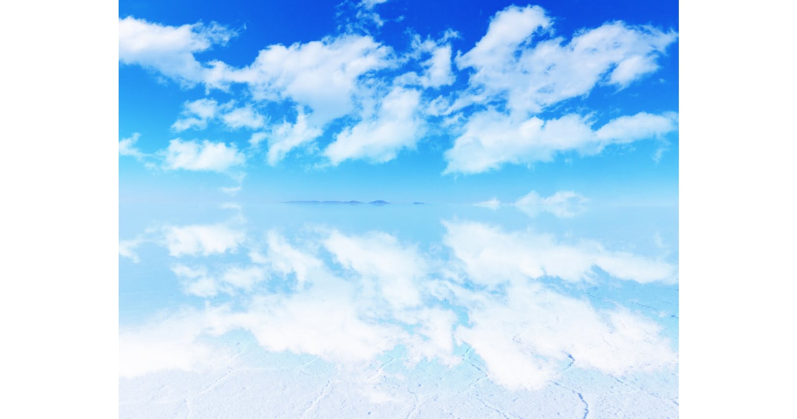 ウユニはキュウリ デボラは白子 湖の塩に合う食材は Nikkei Style ウユニはキュウリ デボラは白子 湖の塩に合う食材は Nikkei Style