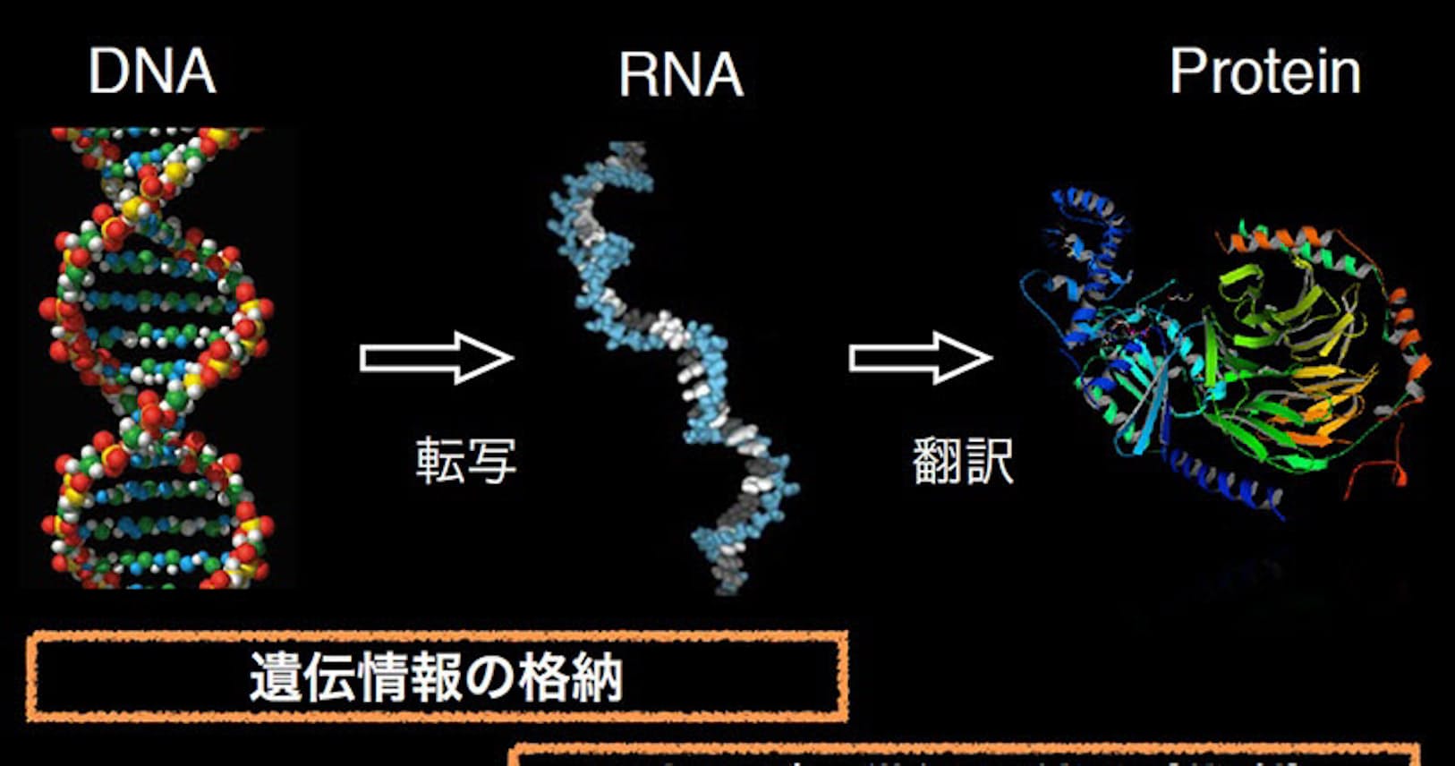 宇宙生物学って何 生命の起源や未来さぐる旅へ出発 Nikkei Style 宇宙生物学って何 生命の起源や未来さぐる旅へ出発 Nikkei Style