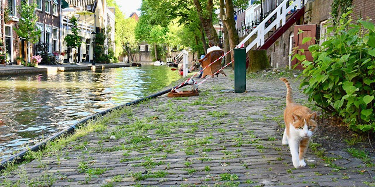 ふらり 世界猫旅 のすすめ 新たな風景 自分を発見 Nikkei Style