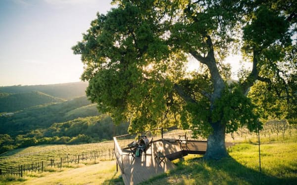 アルタ・コリーナ・ビンヤード&ワイナリーのブドウ園を眺めながらワインを味わう2人。パソロブレスのワイナリーはこの20年間で2倍以上に増加。現在、その数は250を超えている（PHOTOGRAPH COURTESY DAVE BROOKS, ALTA COLINA VINEYARD & WINERY）