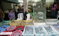 中国、深圳の市場で生きた爬虫類や哺乳類を売る人々。中国では54種の野生動物が食用として合法的に取引されている。新型コロナウイルス感染症の流行は生きた野生動物の取引に世界の目を向けさせた（PHOTOGRAPH BY AFP, GETTY）