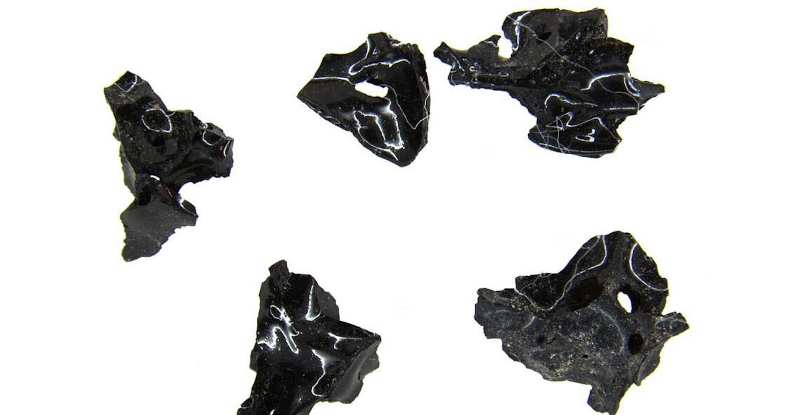 脳が溶けガラス化 古代ローマ噴火の死因に2つの新説 Nikkei Style