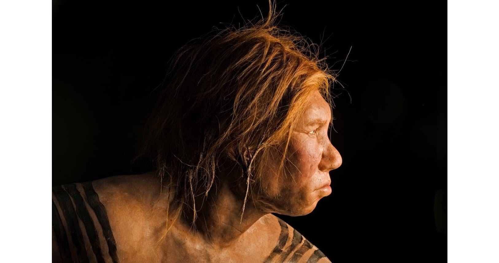 ネアンデルタール人のdnaがアフリカ人にも 定説覆す Nikkei Style ネアンデルタール人のdnaがアフリカ人にも 定説覆す Nikkei Style