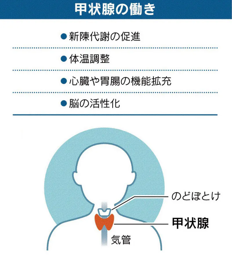 ひどい冷え症は甲状腺を疑って 機能低下で乾燥肌にも Nikkei Style