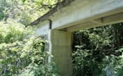 奥多摩湖周辺には、かつての工事用鉄道の跡が今も残っている。かつての鉄道橋は、うっそうと生い茂る木々に覆われていた