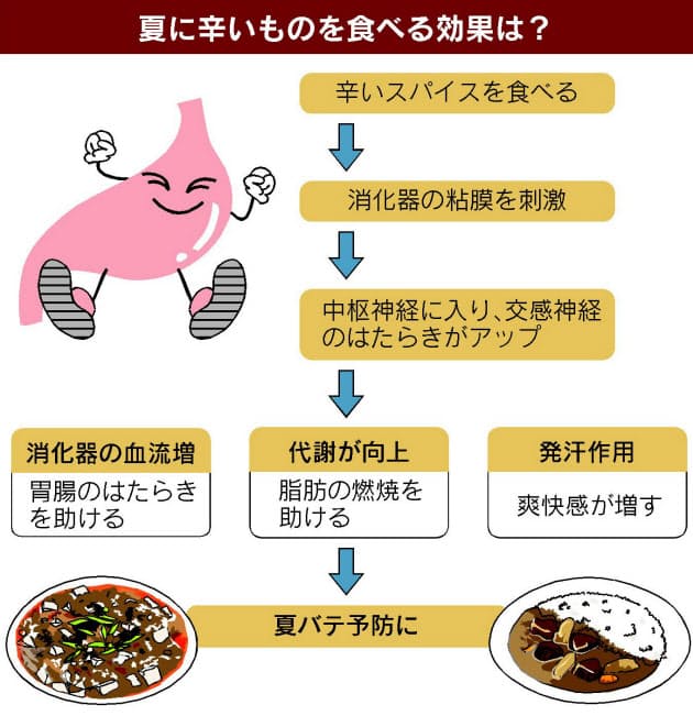 辛い料理 なぜ夏バテに効く メカニズムと注意点 Nikkei Style 辛い料理 なぜ夏バテに効く メカニズムと注意点 Nikkei Style