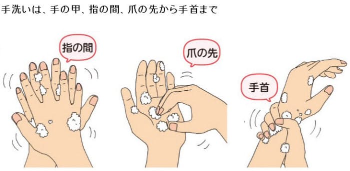 予防の基本は 手洗い 30秒以上かけて 新型コロナによる肺炎 通常の肺炎と何が違 Nikkei Style 予防の基本は 手洗い 30秒以上かけて 新型コロナによる肺炎 通常の肺炎と何が違 Nikkei Style