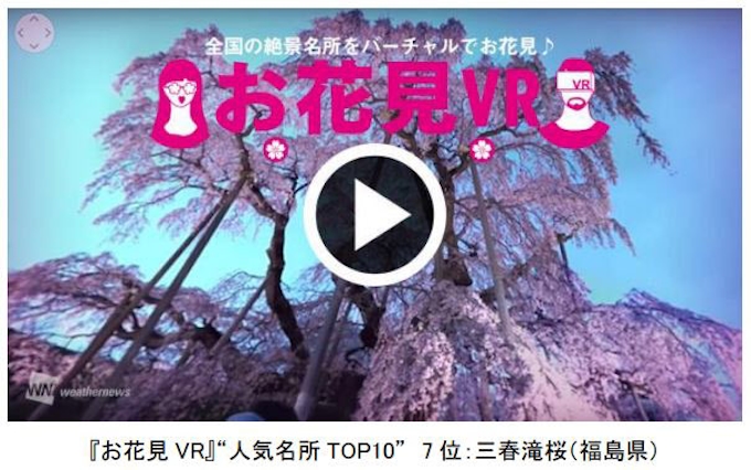 ウェザーニューズ 家でお花見を楽しめる お花見 Vr をアプリ ウェザーニュース で無料公開 日本経済新聞