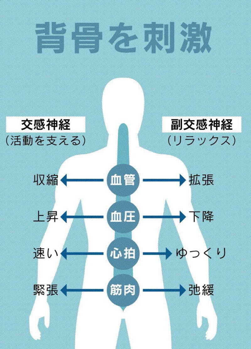 春先の不調は背骨反らしで解消 自律神経整える効果も Nikkei Style