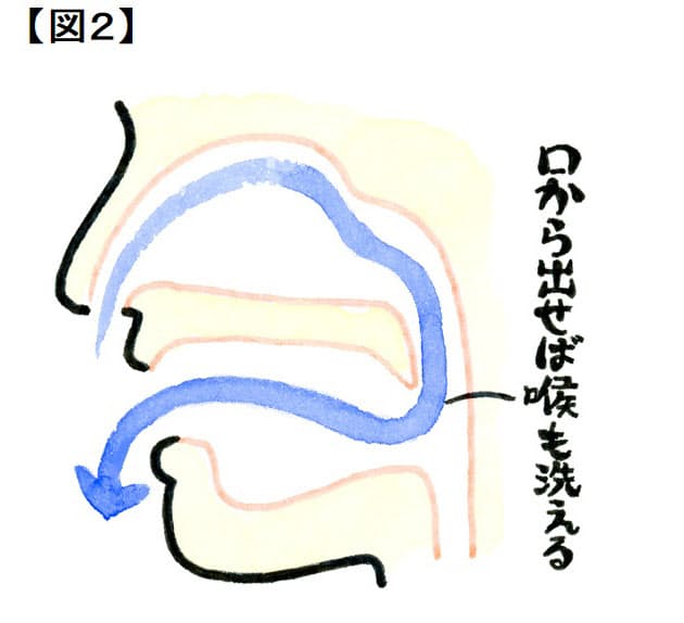 勘違い2 鼻うがいは冷たい水で行えばスッキリ 花粉症 症状和らげるため知ってお Nikkei Style 勘違い2 鼻うがいは冷たい水で行えばスッキリ 花粉症 症状和らげるため知ってお Nikkei Style