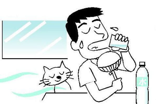 味噌汁の塩分 心配しすぎかも 最新の研究で判明 Nikkei Style