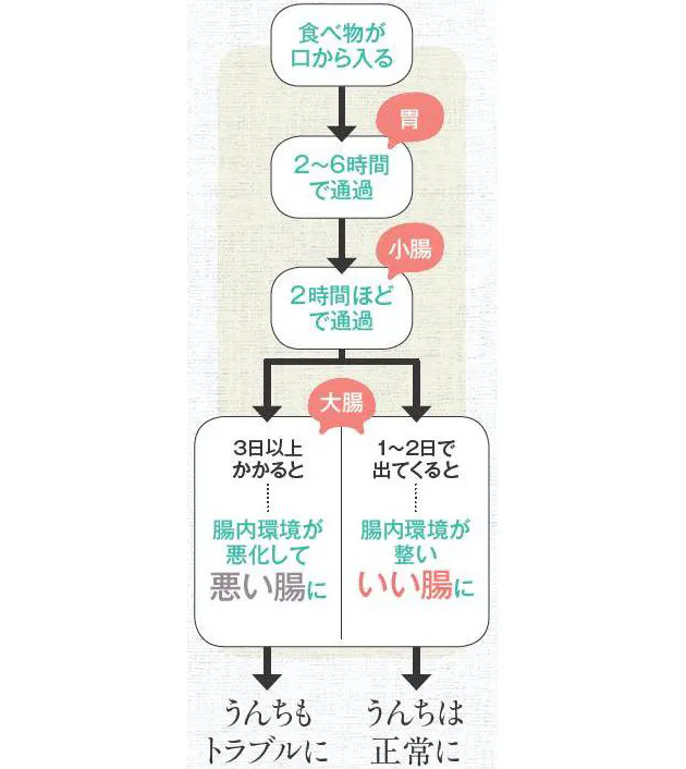 悪い腸は 脳 にも影響 病気を防ぐ いい腸 の作り方 Nikkei Style