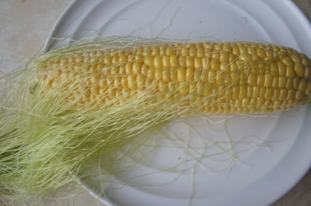 トウモロコシの粒の数は必ず偶数 数えてみた Nikkei Style トウモロコシの粒の数は必ず偶数 数えてみた Nikkei Style