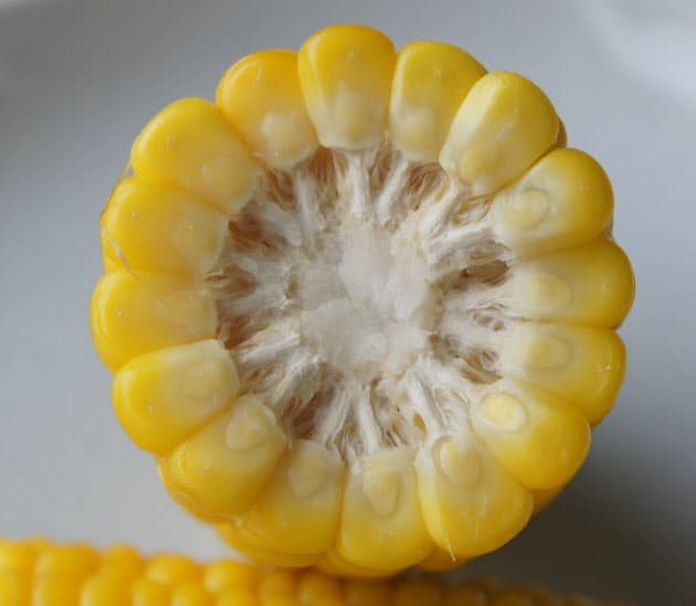 1つの軸に2つの花 粒はもともと雌花 トウモロコシの粒の数は必ず偶数 数えてみた Nikkei Style 1つの軸に2つの花 粒はもともと雌花 トウモロコシの粒の数は必ず偶数 数えてみた Nikkei Style