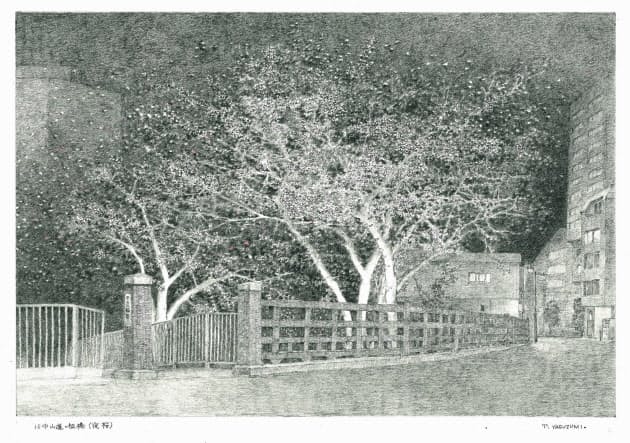 タクシー後部座席の先生たち 桜の案内人 良識の子 Nikkei Style タクシー後部座席の先生たち 桜の案内人 良識の子 Nikkei Style