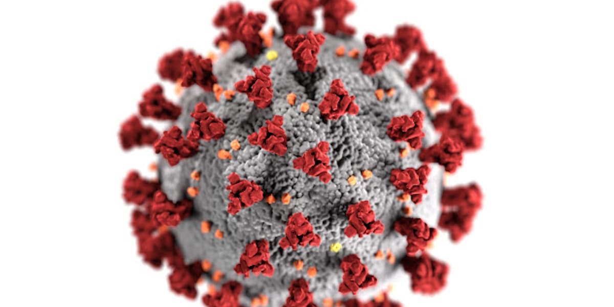新型コロナ 新型コロナ収束まで3 5年 集団免疫の獲得が条件 日本経済新聞