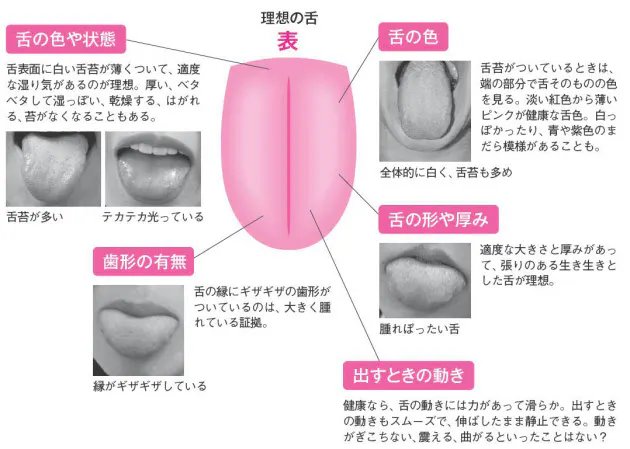 舌で判断 漢方式で ぽっこりお腹 にサヨナラ Nikkei Style